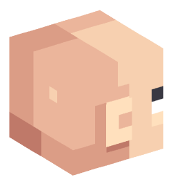 Minecraft head — People