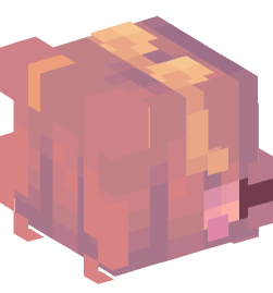 Minecraft head — People