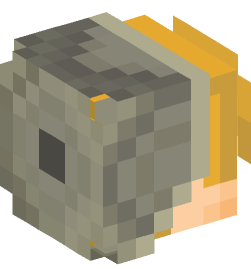 Minecraft head — People