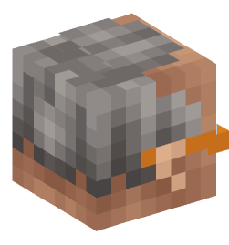 Minecraft head — People