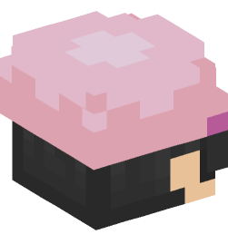 Minecraft head — People