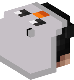 Minecraft head — People