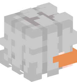 Minecraft head — People