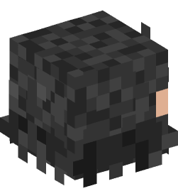 Minecraft head — People