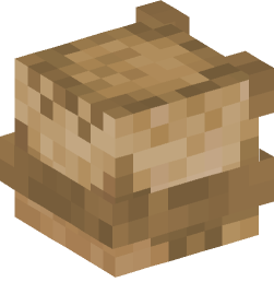 Minecraft head — Creatures