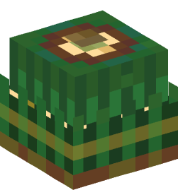 Minecraft head — Decor