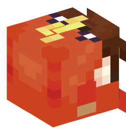 Minecraft head — Decor