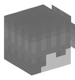 Minecraft head — Decor