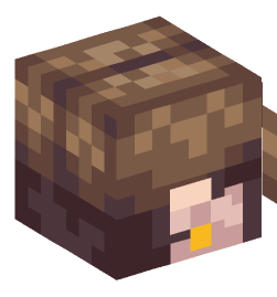 Minecraft head — People