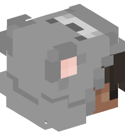 Minecraft head — People