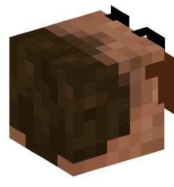 Minecraft head — People