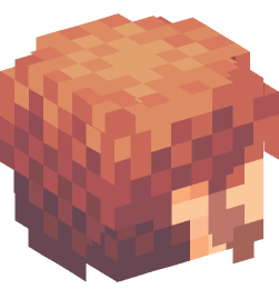 Minecraft head — People