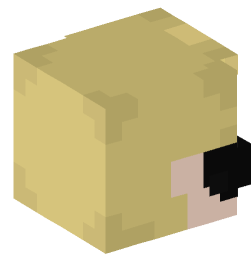 Minecraft head — People