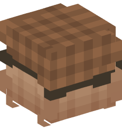 Minecraft head — People