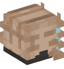 Minecraft head — Creatures