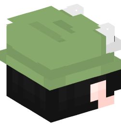 Minecraft head — People