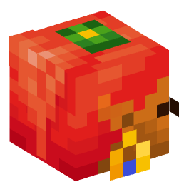 Minecraft head — People