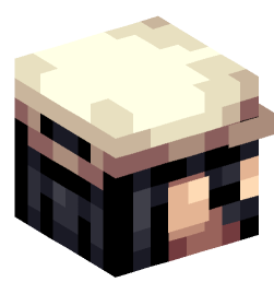 Minecraft head — People