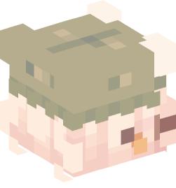 Minecraft head — People