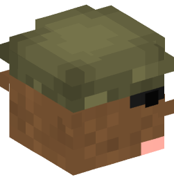 Minecraft head — People