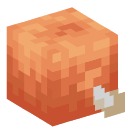 Minecraft head — Animals