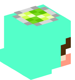 Minecraft head — Creatures