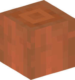 Minecraft head — Blocks