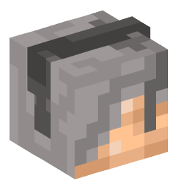 Minecraft head — People