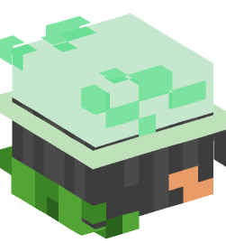 Minecraft head — People
