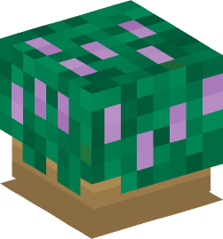 Minecraft head — Plants