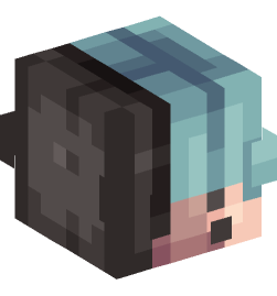 Minecraft head — People