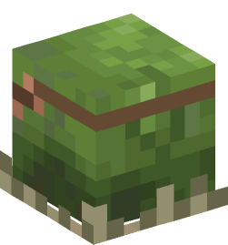 Minecraft head — Creatures