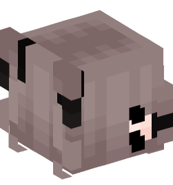 Minecraft head — People