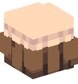 Minecraft head — People