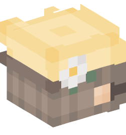 Minecraft head — People