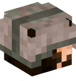 Minecraft head — People