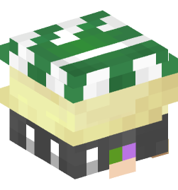 Minecraft head — Decor