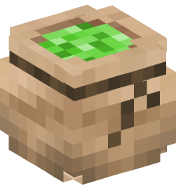 Minecraft head — Decor