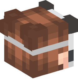 Minecraft head — People