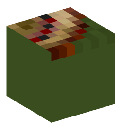 Minecraft head — Decor