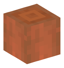 Minecraft head — Blocks