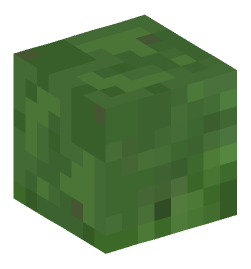 Minecraft head — Creatures