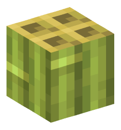 Minecraft head — Blocks