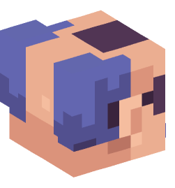 Minecraft head — People