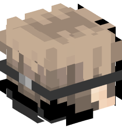 Minecraft head — People