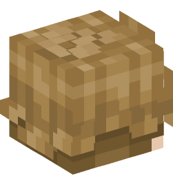 Minecraft head — People