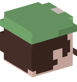 Minecraft head — People