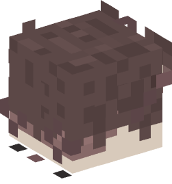 Minecraft head — Animals