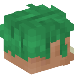 Minecraft head — Creatures