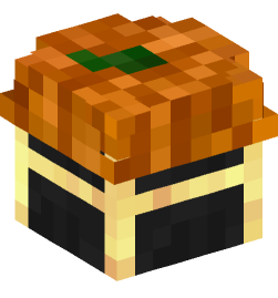 Minecraft head — Decor